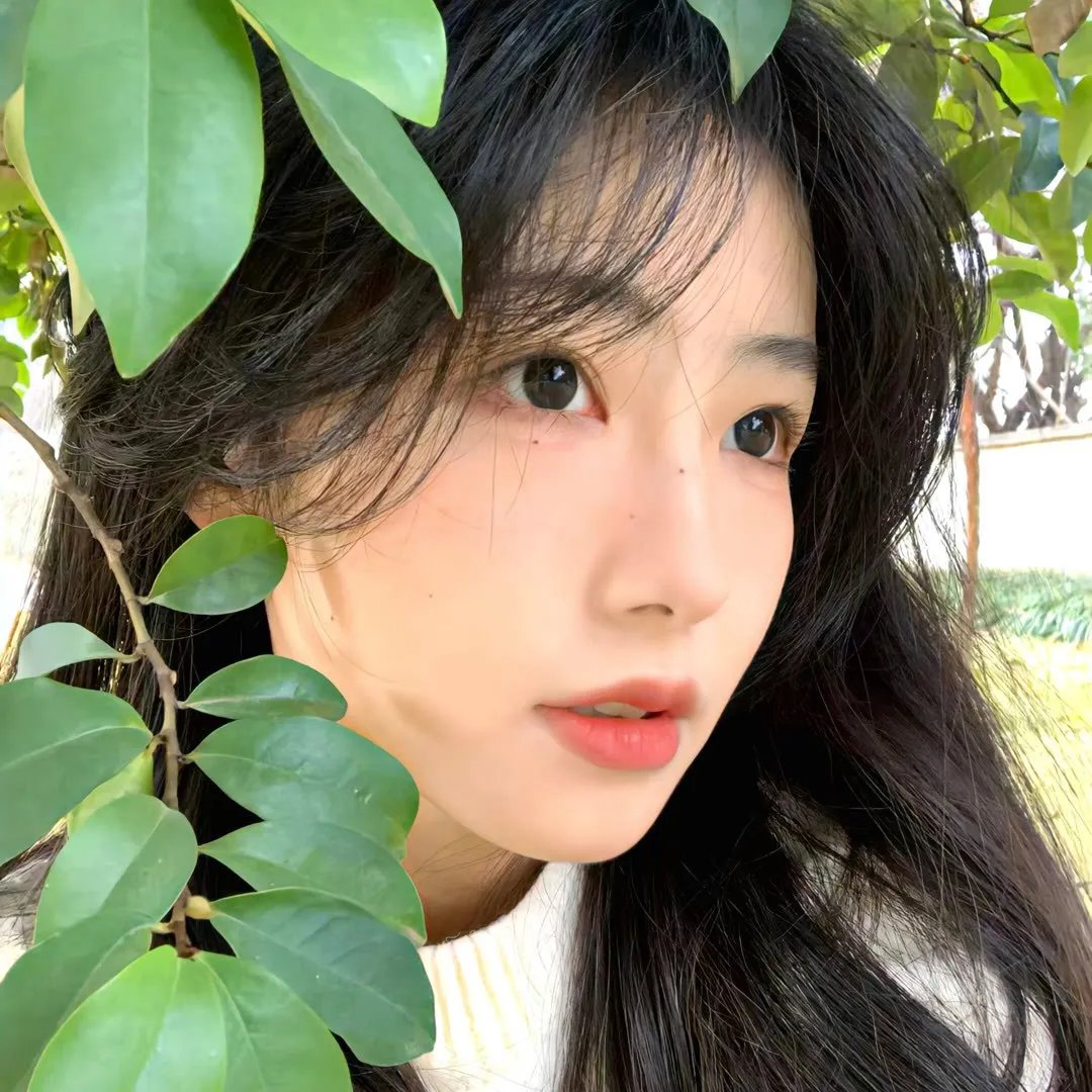 追凶直播