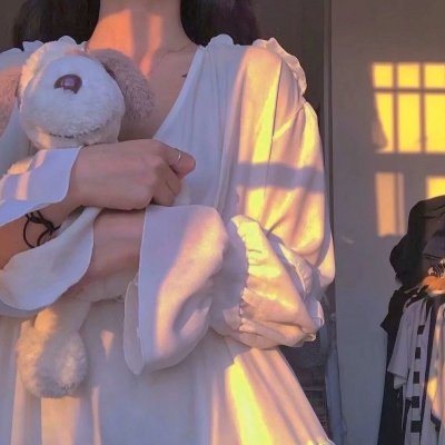 婀娜公主